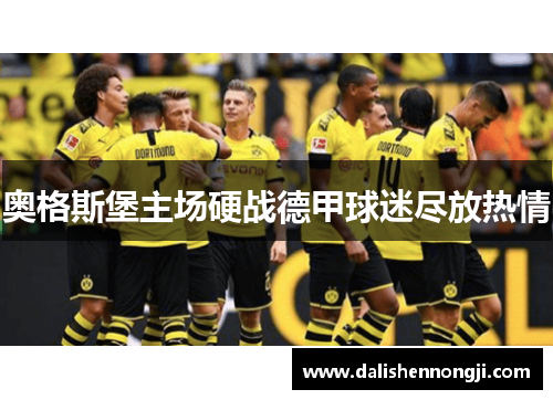 奥格斯堡主场硬战德甲球迷尽放热情
