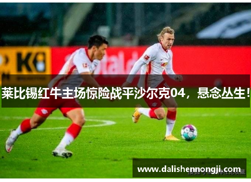 莱比锡红牛主场惊险战平沙尔克04，悬念丛生！