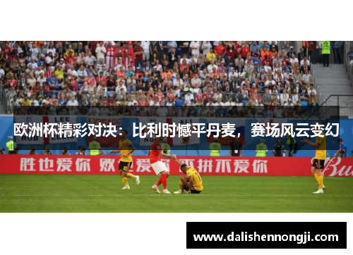欧洲杯精彩对决：比利时憾平丹麦，赛场风云变幻