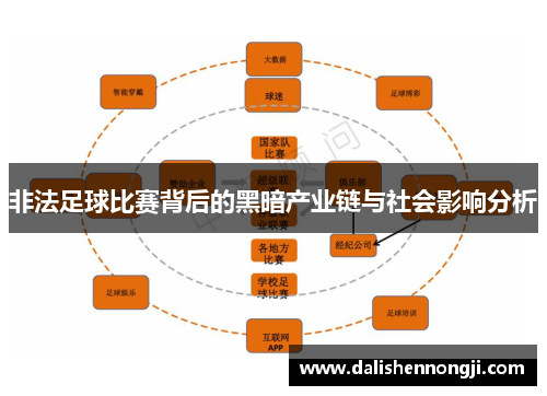 非法足球比赛背后的黑暗产业链与社会影响分析