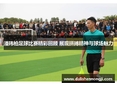 潘玮柏足球比赛精彩回顾 展现拼搏精神与球场魅力