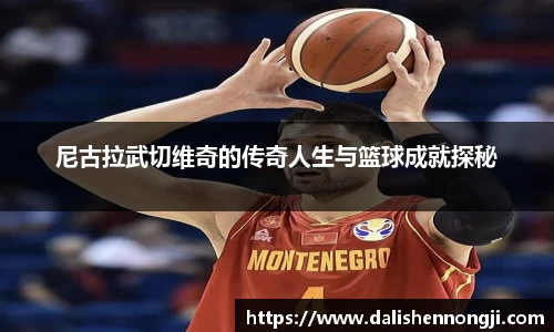 尼古拉武切维奇的传奇人生与篮球成就探秘