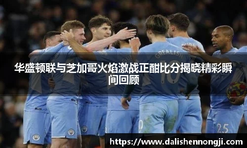 华盛顿联与芝加哥火焰激战正酣比分揭晓精彩瞬间回顾